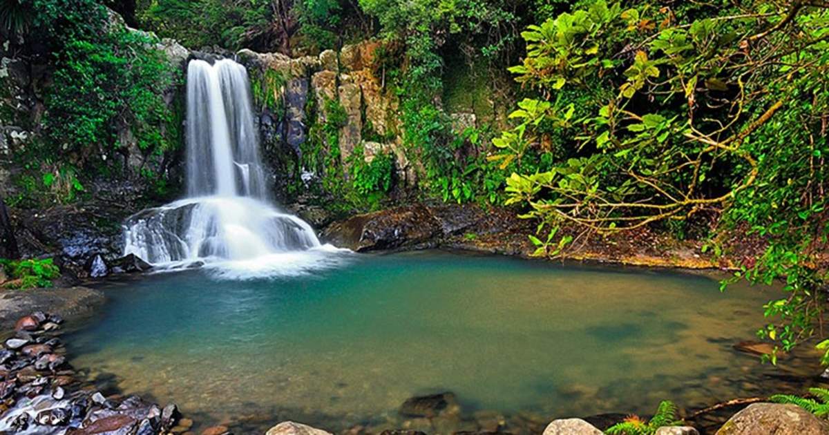 Coromandel Ferry Tickets from Auckland Klook